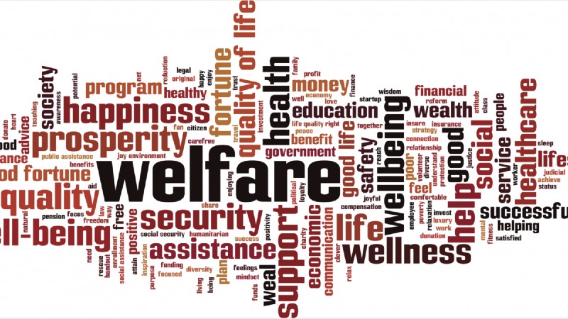 Study Human Welfare Studies and Services in USA